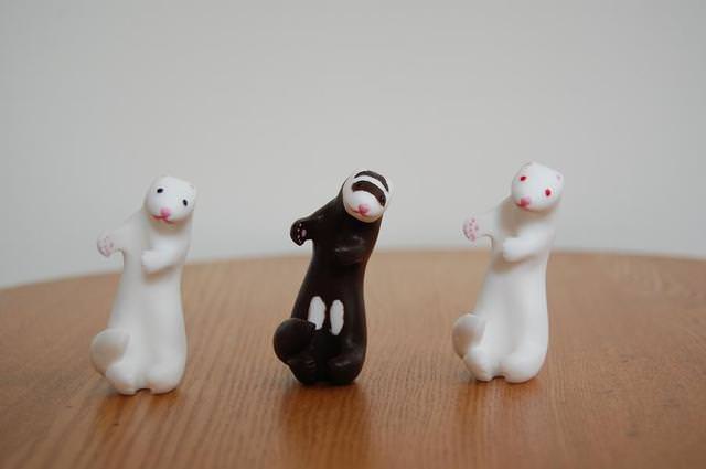 リペアハウス北澤 ハグハグフェレット